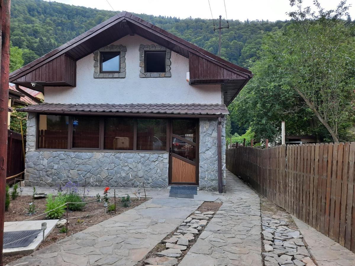 Casa Crissio Villa Sinaia Eksteriør bilde