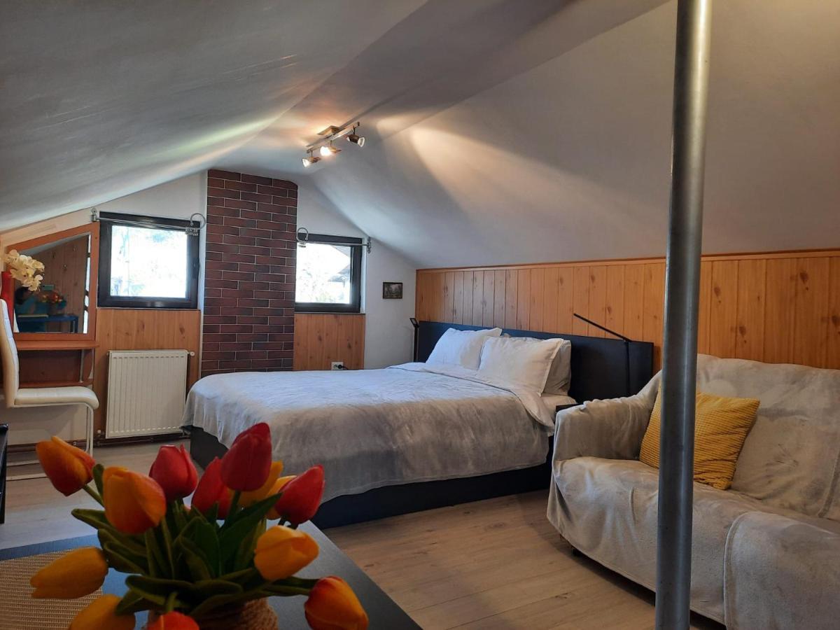 Casa Crissio Villa Sinaia Eksteriør bilde