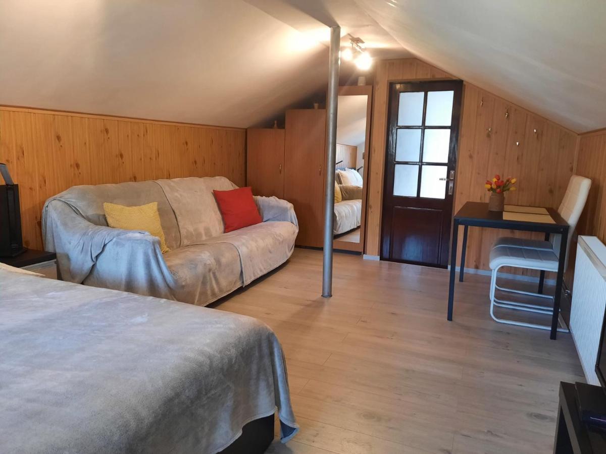 Casa Crissio Villa Sinaia Eksteriør bilde